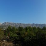 Baugründstück, Verkauf, Starigrad, Seline