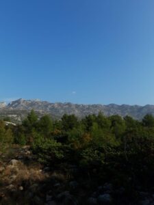 Baugründstück, Verkauf, Starigrad, Seline