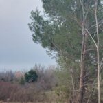 Baugründstück, Verkauf, Privlaka, Privlaka