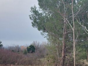 Baugründstück, Verkauf, Privlaka, Privlaka