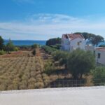 Luxusapartment, Verkauf, Privlaka, Privlaka