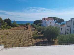 Luxusapartment, Verkauf, Privlaka, Privlaka