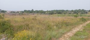 Baugründstück, Verkauf, Vrsi, Vrsi