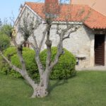 Alleinstehendes Haus, Verkauf, Nin, Nin