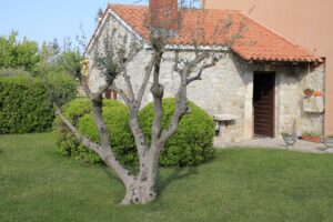 Alleinstehendes Haus, Verkauf, Nin, Nin