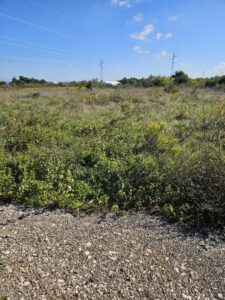 Landwirtschaftlich genutzter Boden, Verkauf, Nin, Nin