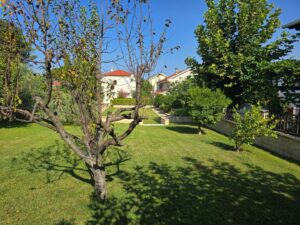 Haus am Meer, Verkauf, Vrsi, Zukve