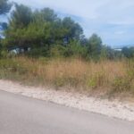 Landwirtschaftlich genutzter Boden, Verkauf, Nin, Nin