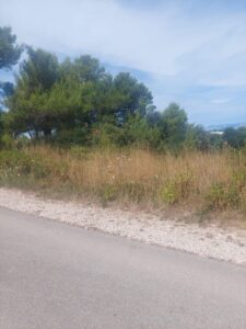 Landwirtschaftlich genutzter Boden, Verkauf, Nin, Nin