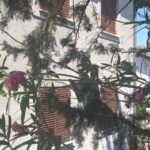 Haus am Meer, Verkauf, Nin, Nin